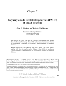 (PAGE) of Blood Proteins - Association for Biology Laboratory