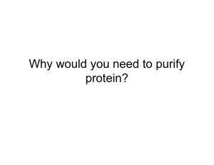 Methods for Working with Proteins
