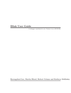 Blink User Guide