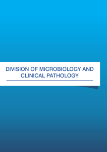 DIVISION OF MICROBIOLOGY AND CLINICAL PATHOLOGY