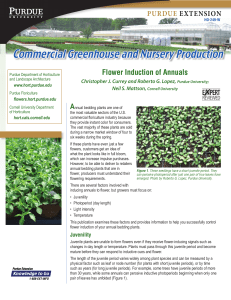 Flower Induction of Annuals - Purdue Extension
