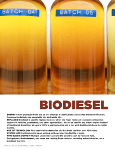 Biodiesel Report