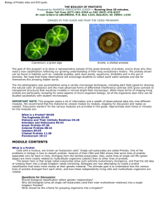 Protists Teaching Guide
