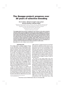 The Quagga project: progress over 20 years of selective breeding