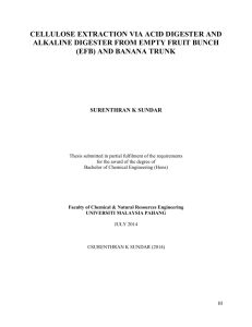 CELLULOSE EXTRACTION VIA ACID DIGESTER AND ALKALINE