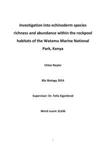 Investigation into echinoderm species richness