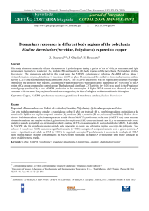 Biomarkers responses in different body regions of the polychaeta