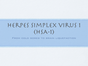 Herpes simplex - biosciences