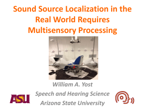 Sound Source Localization in the Real World Requires Multisensory