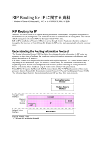 RIP Routing for IP に関する資料