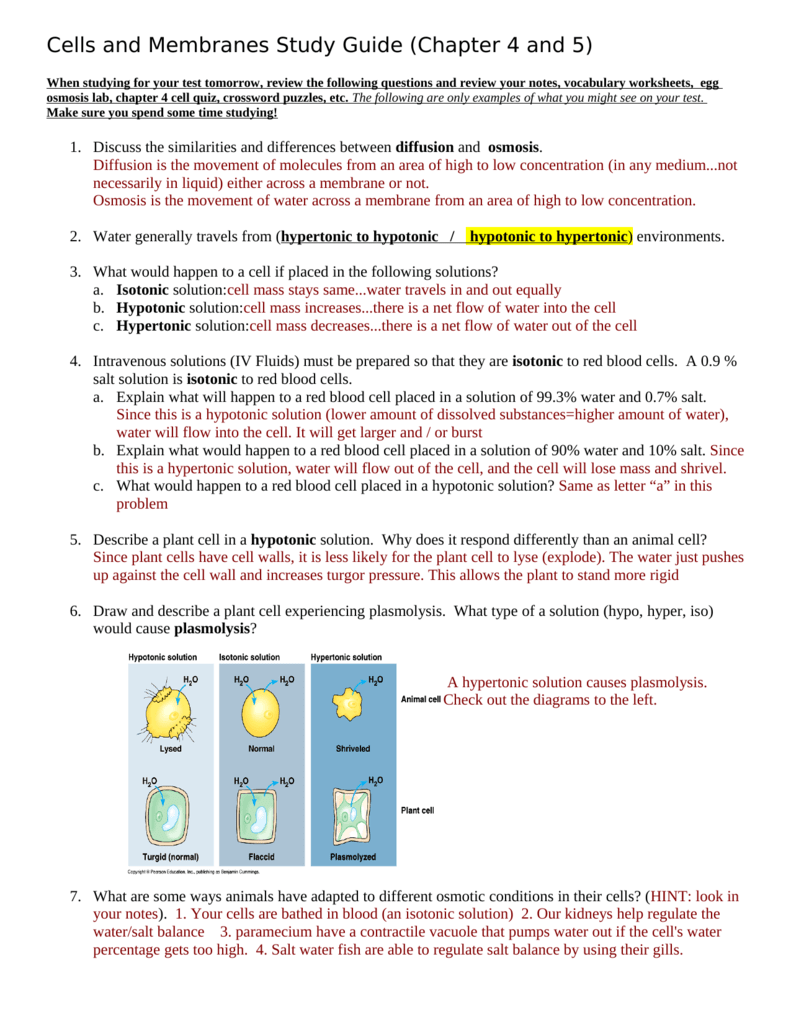 cells and membranes study guide chapter 4 5 us history 2 quizlet cna practice test 3