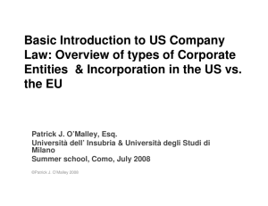 Basic Introduction to US Company Law