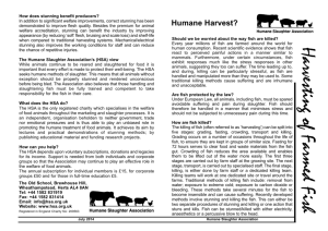 Harvesting of Farmed Fish Humane Harvest?