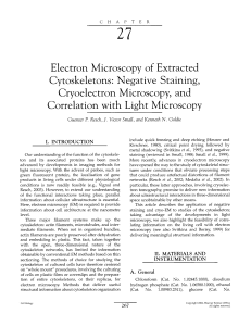 Electron Microscopy of Extracted Cytoskeletons - PPKE-ITK