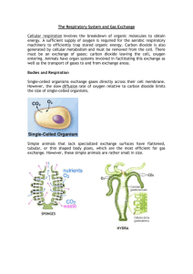 The Respiratory System and Gas Exchange Cellular respiration