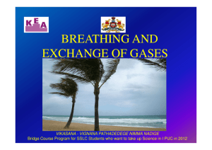 BREATHING AND EXCHANGE OF GASES