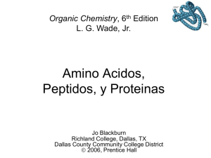 Chapter 24 Amino Acids, Peptides, and Proteins