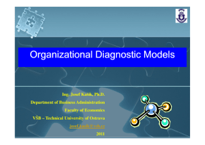 Diagnostic_Models_Briefx - Managerial Business Diagnostics