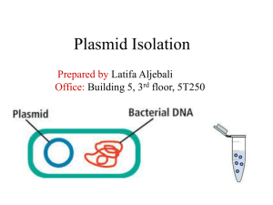 Plasmid Isolation