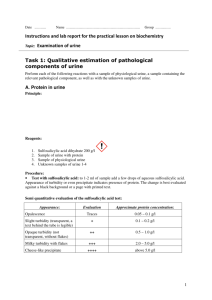 Instructions and lab report for the practical lesson on biochemistry