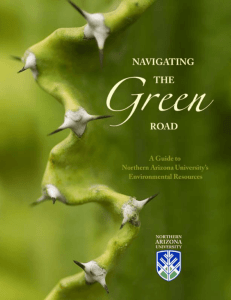 - Navigating The Green Road