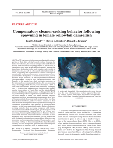 Compensatory cleaner-seeking behavior following spawning in