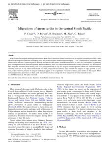Migrations of green turtles in the central South Pacific