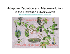 Adaptive Radiation and Macroevolution in the Hawaiian Silverswords