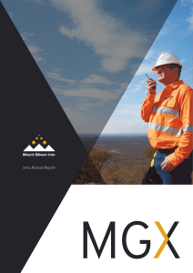 MGX Annual Report 2014