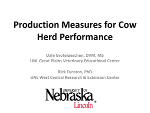 Production Measures for Cow Herd Performance