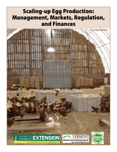 Scaling-up Egg Production: Management