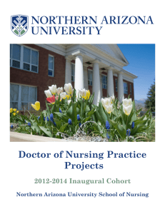 Doctor of Nursing Practice Projects