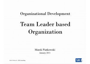 Team Leader based Organization