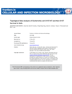 Topological Data Analysis of Escherichia coli O157:H7 and