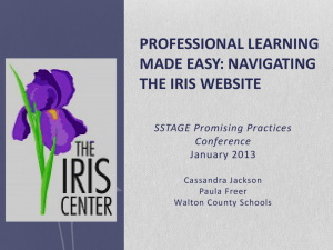 2014-PP-Conference-Navigating-the-IRIS-Web