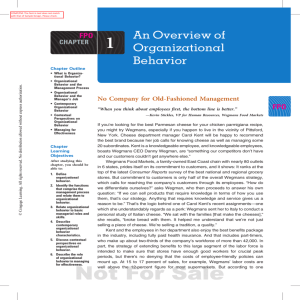 An Overview of Organizational Behavior