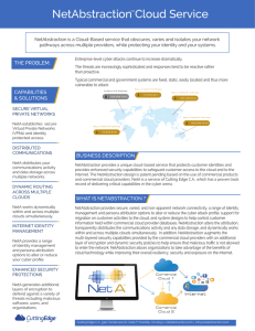 NetAbstraction Data Sheet