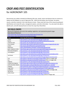 CROP AND PEST IDENTIFICATION Fall 2015 8.16.15