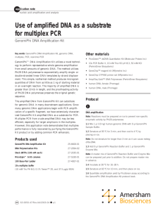 Use of amplified DNA as a substrate for multiplex PCR