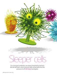 Sleeper cells: the bacteria that won't die