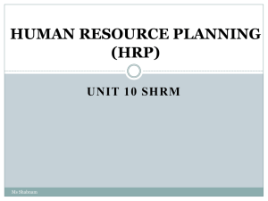 4 HUMAN RESOURCE PLANNING (HRP).