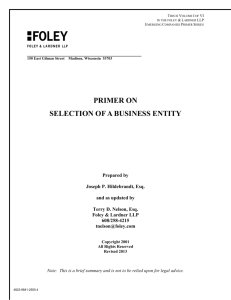 primer on selection of a business entity