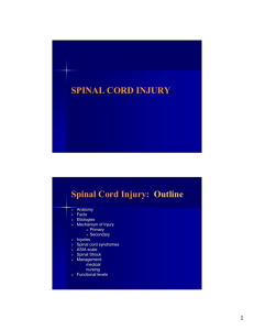 SPINAL CORD INJURY Spinal Cord Injury: Outline