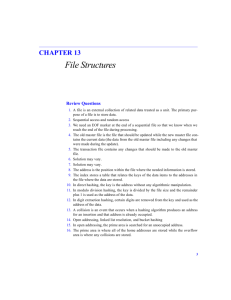 CHAPTER 13 File Structures