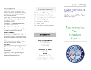 Understanding Your Urinalysis Results