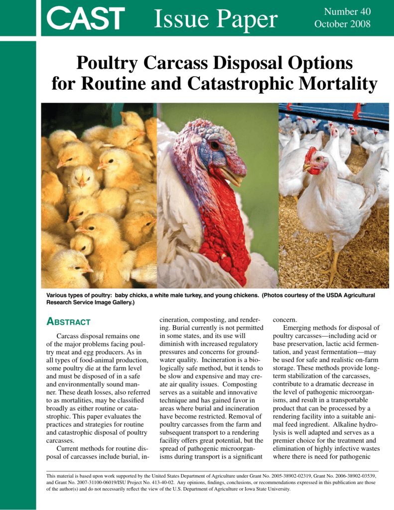 Poultry Carcass Disposal Options for Routine and Catastrophic