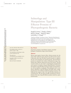 Subterfuge and Manipulation: Type III Effector Proteins of