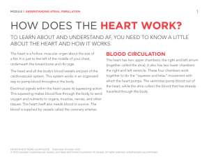 HOW DOES THE HEART WORK? - Heart and Stroke Foundation of