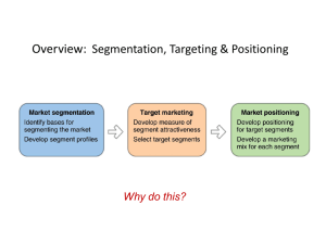 Overview: Segmentation, Targeting & Positioning
