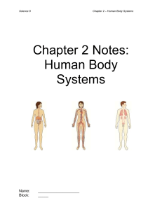 Chapter 2 Notes: Human Body Systems